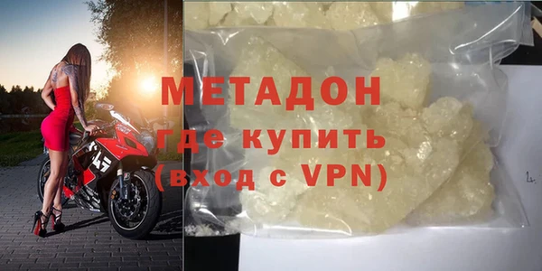 прущие грибы Балабаново
