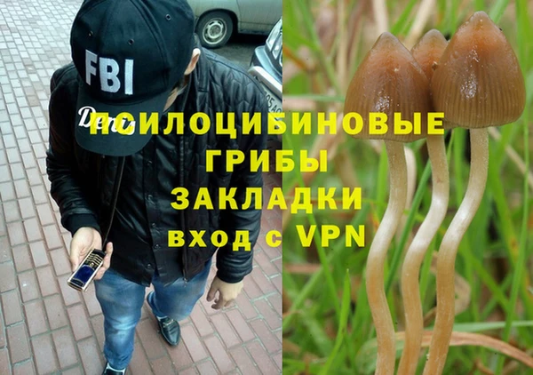 прущие грибы Балабаново