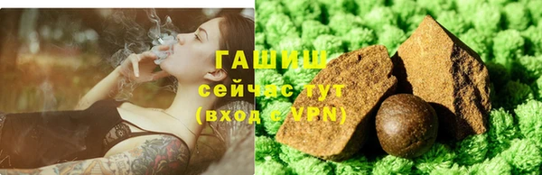 прущие грибы Балабаново