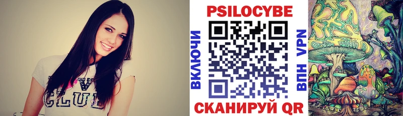 Псилоцибиновые грибы Psilocybe  закладка  Белозерск 